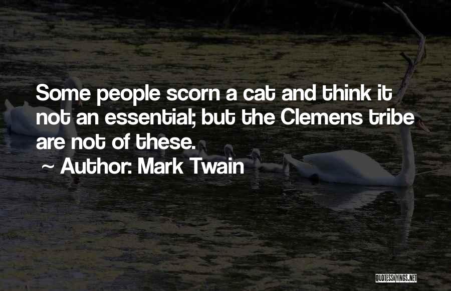 Best Scorn Quotes By Mark Twain