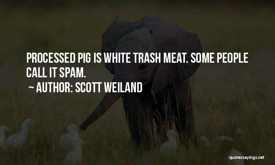 Best Scott Weiland Quotes By Scott Weiland