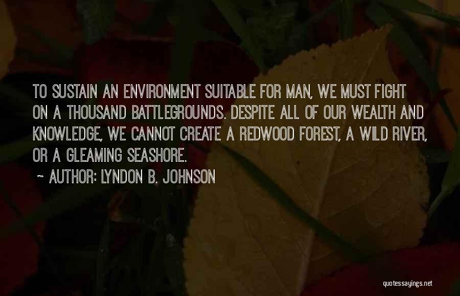 Best Seashore Quotes By Lyndon B. Johnson