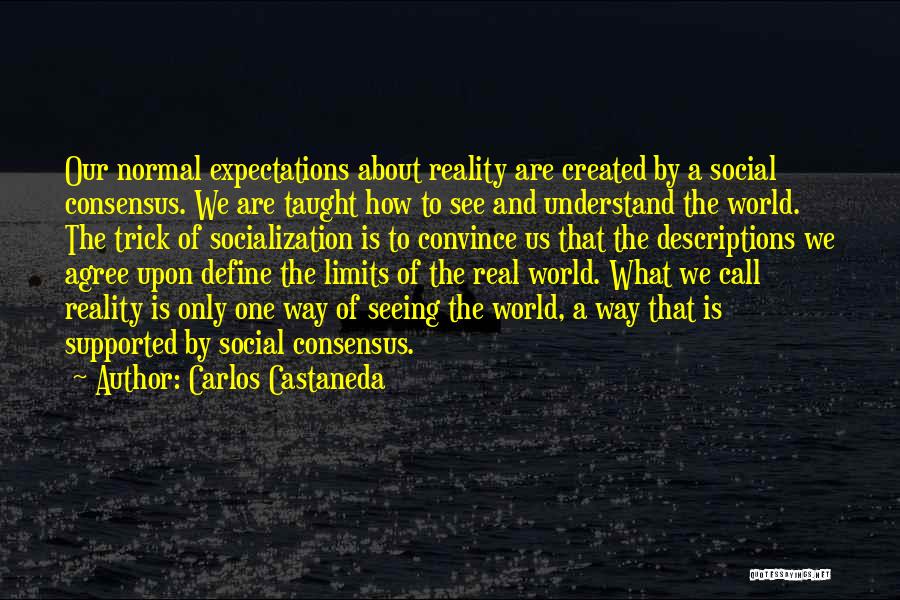 Best Self Descriptions Quotes By Carlos Castaneda