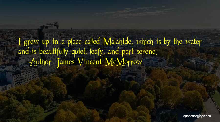 Best Serene Quotes By James Vincent McMorrow