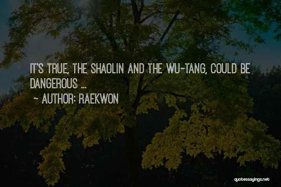 Best Shaolin Quotes By Raekwon