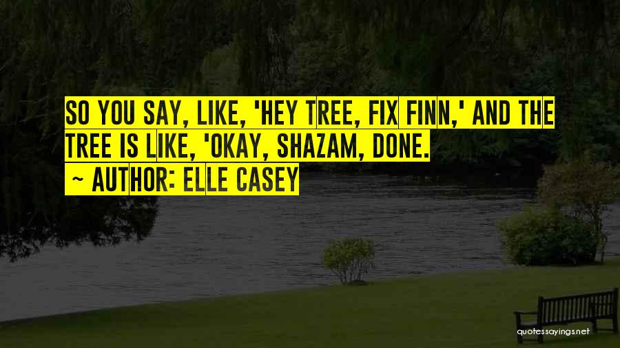 Best Shazam Quotes By Elle Casey