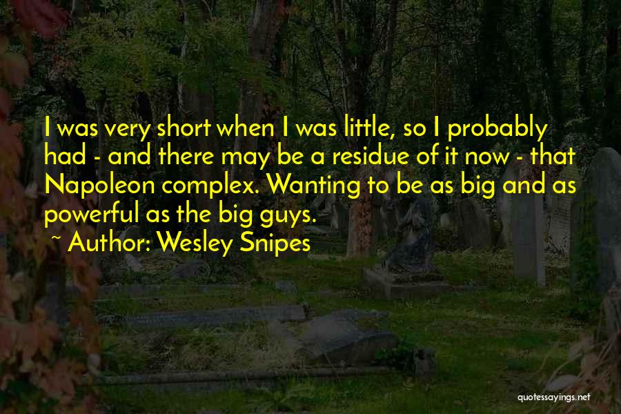 Best Short Powerful Quotes By Wesley Snipes