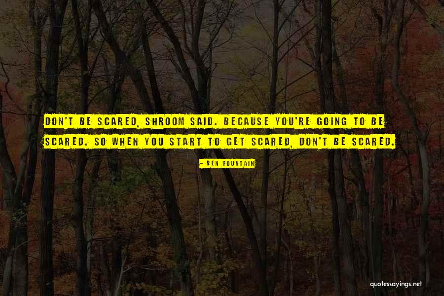 Best Shroom Quotes By Ben Fountain Best Shroom Quotes By Ben Fountain