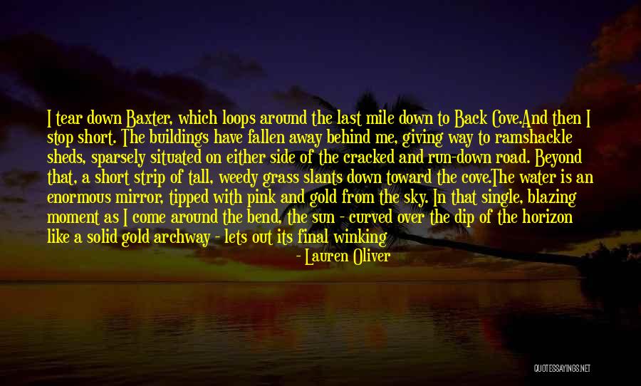 Best Single Quotes By Lauren Oliver Best Single Quotes By Lauren Oliver