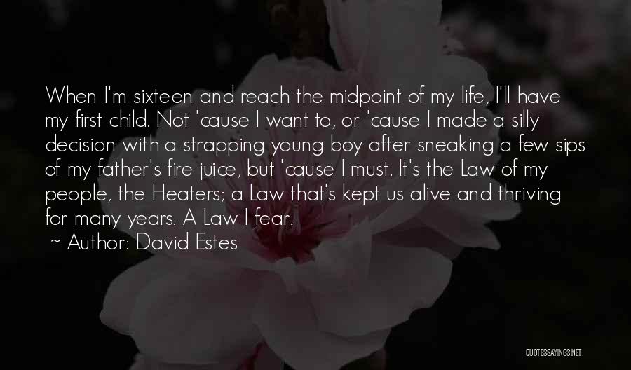 Best Sips Quotes By David Estes