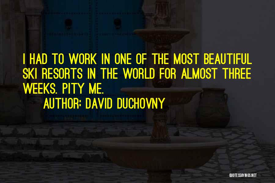 Best Ski Quotes By David Duchovny