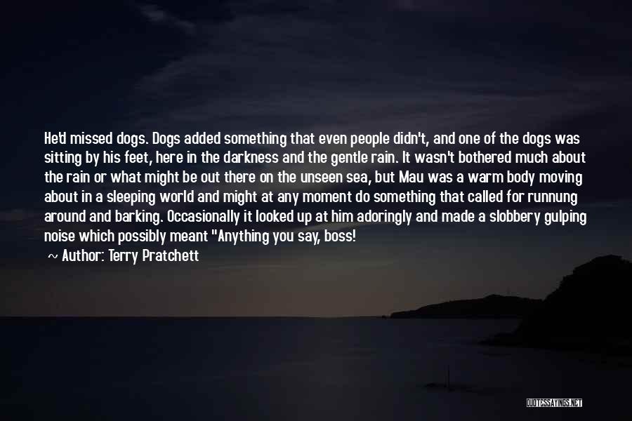 Best Sleeping Dogs Quotes By Terry Pratchett