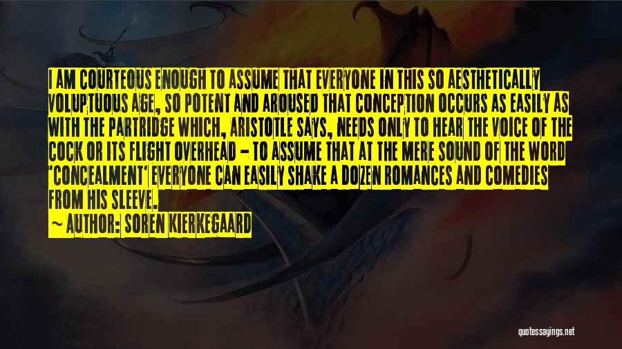 Best Sleeve Quotes By Soren Kierkegaard