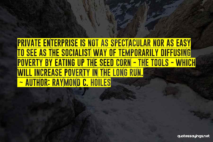 Best Socialist Quotes By Raymond C. Hoiles