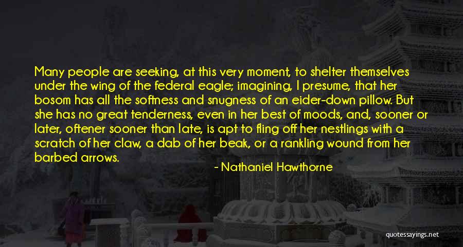 Best Softness Quotes By Nathaniel Hawthorne