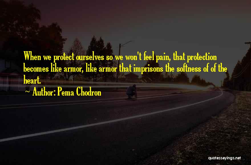 Best Softness Quotes By Pema Chodron