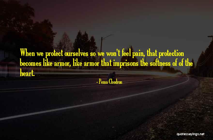 Best Softness Quotes By Pema Chodron