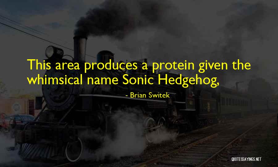 Best Sonic Quotes By Brian Switek Best Sonic Quotes By Brian Switek