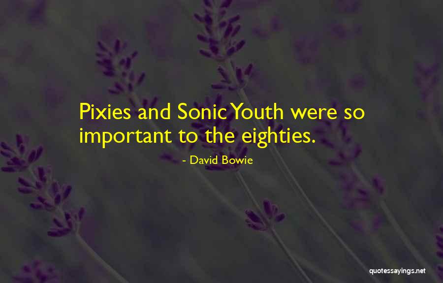 Best Sonic Youth Quotes By David Bowie