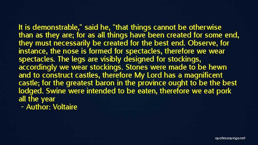 Best Spectacles Quotes By Voltaire