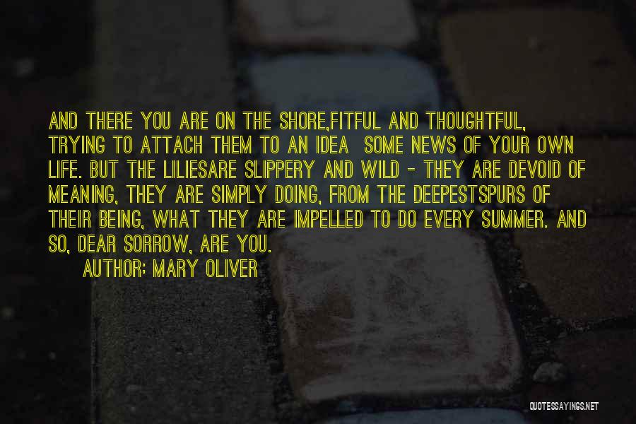 Best Spurs Quotes By Mary Oliver