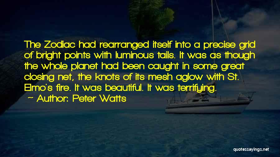 Best St Elmo's Fire Quotes By Peter Watts