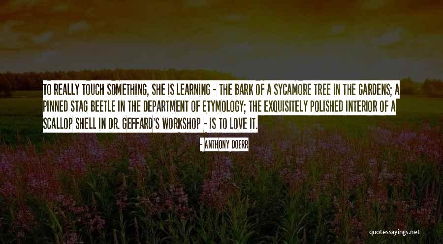 Best Stag Quotes By Anthony Doerr Best Stag Quotes By Anthony Doerr