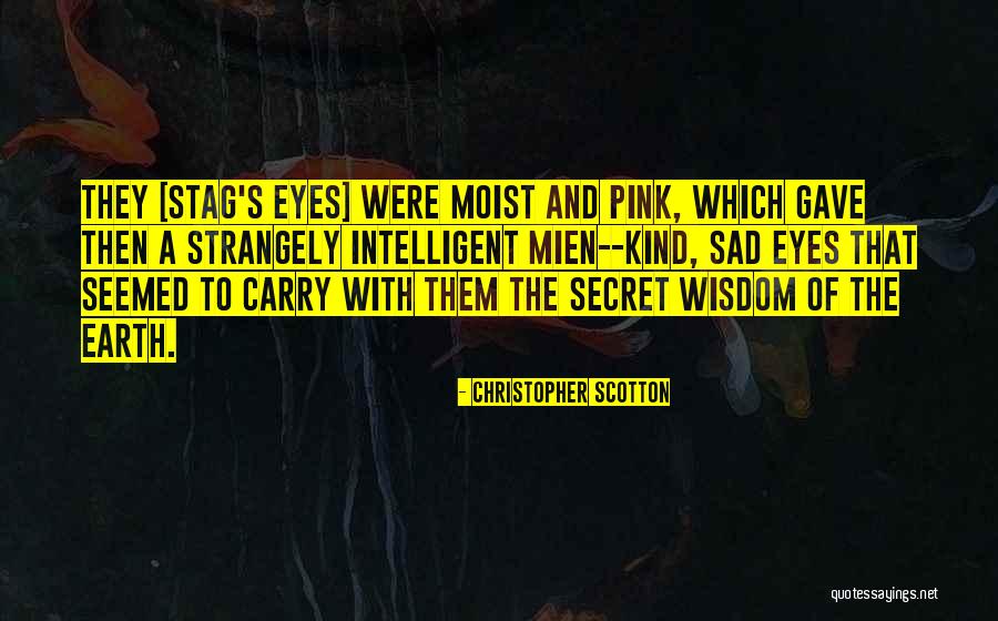 Best Stag Quotes By Christopher Scotton Best Stag Quotes By Christopher Scotton