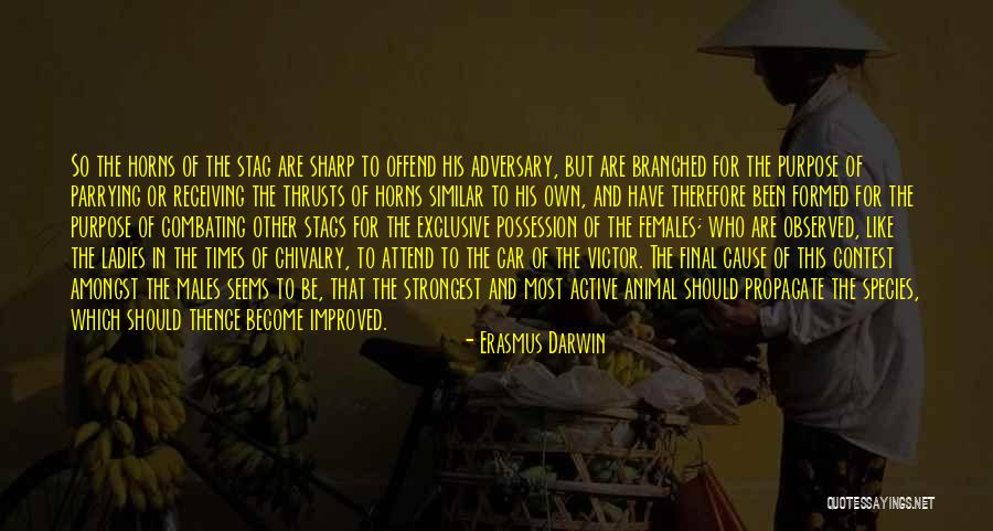 Best Stag Quotes By Erasmus Darwin Best Stag Quotes By Erasmus Darwin