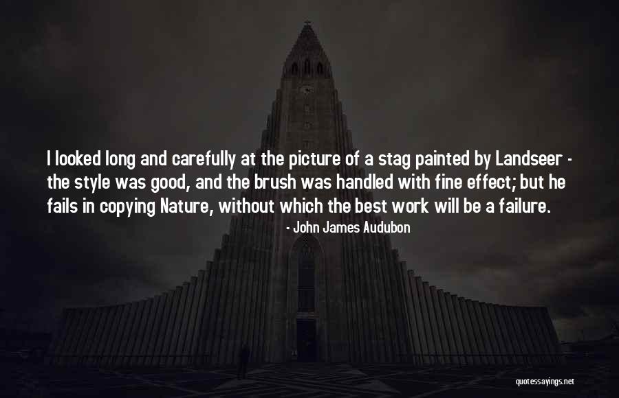 Best Stag Quotes By John James Audubon Best Stag Quotes By John James Audubon