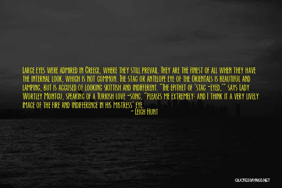 Best Stag Quotes By Leigh Hunt Best Stag Quotes By Leigh Hunt