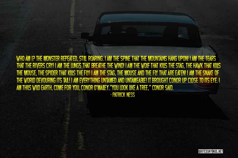 Best Stag Quotes By Patrick Ness Best Stag Quotes By Patrick Ness