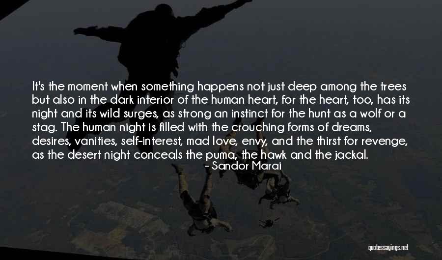 Best Stag Quotes By Sandor Marai Best Stag Quotes By Sandor Marai