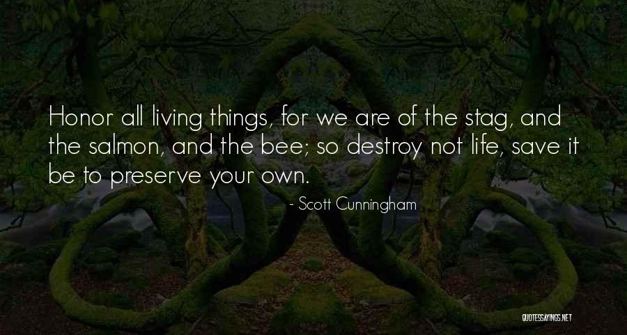 Best Stag Quotes By Scott Cunningham Best Stag Quotes By Scott Cunningham