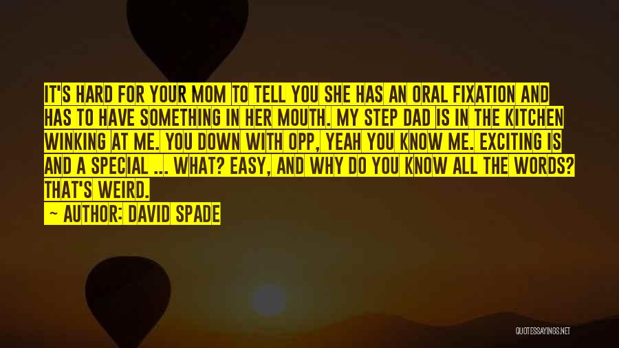 Best Step Dad Quotes By David Spade