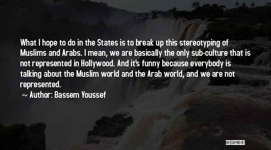 Best Stereotyping Quotes By Bassem Youssef