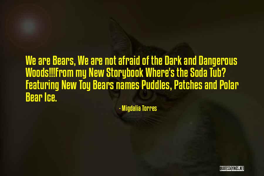 Best Storybook Quotes By Migdalia Torres Best Storybook Quotes By Migdalia Torres
