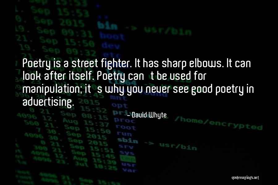 Best Street Fighter Quotes By David Whyte