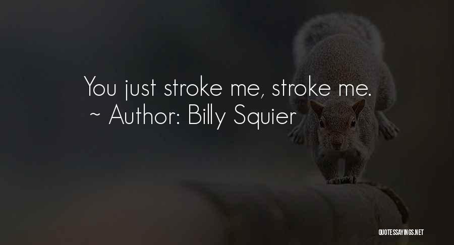 Best Strokes Quotes By Billy Squier