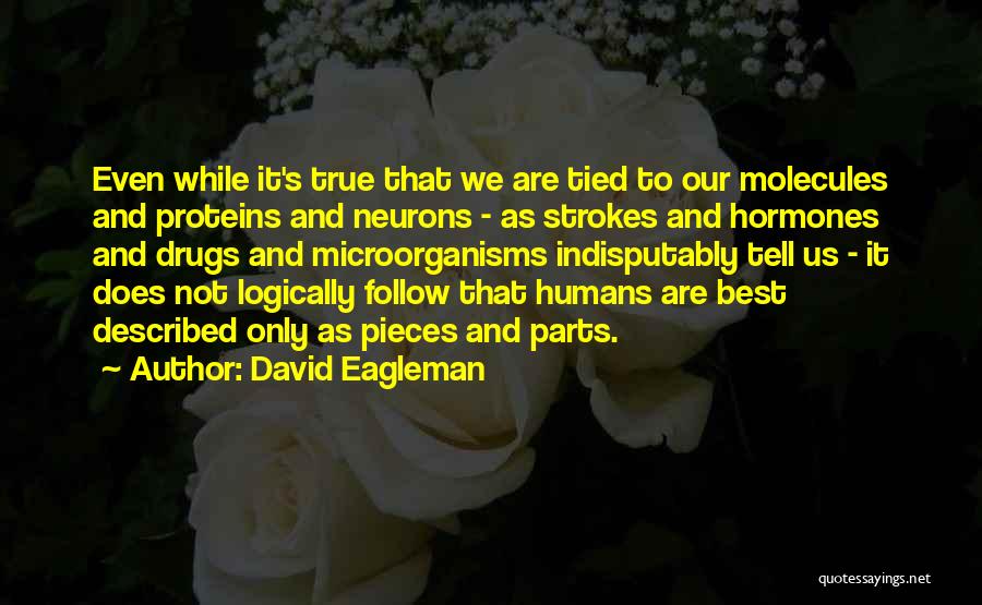 Best Strokes Quotes By David Eagleman