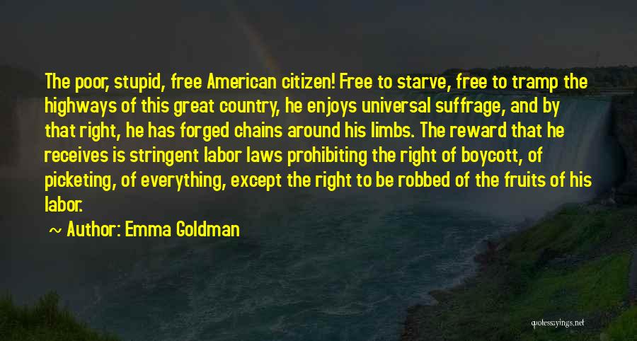Best Suffrage Quotes By Emma Goldman