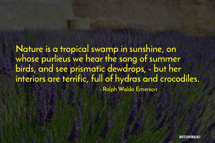 Best Summer Song Quotes By Ralph Waldo Emerson