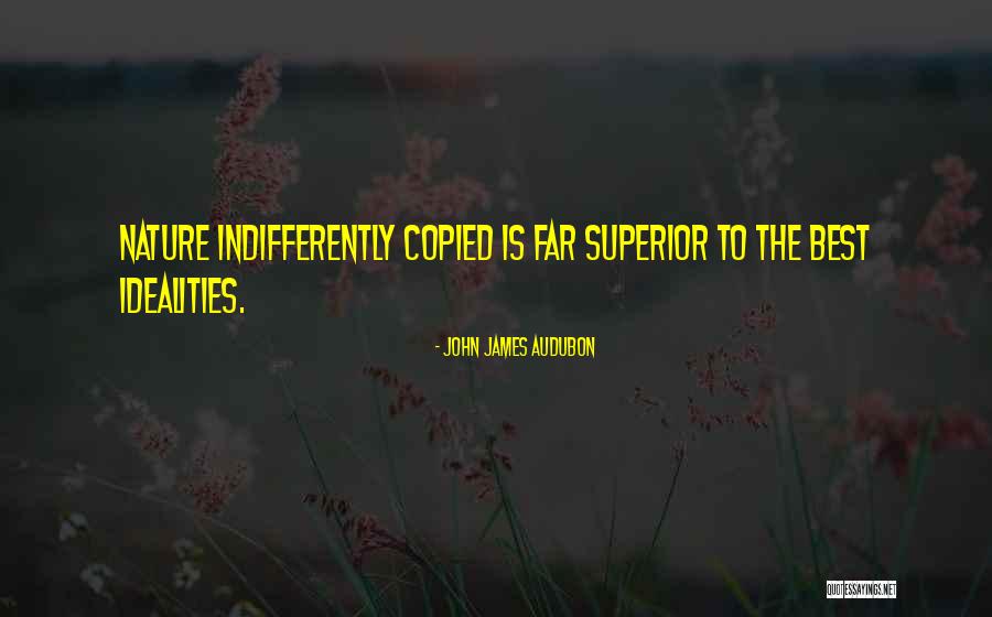 Best Superior Quotes By John James Audubon Best Superior Quotes By John James Audubon