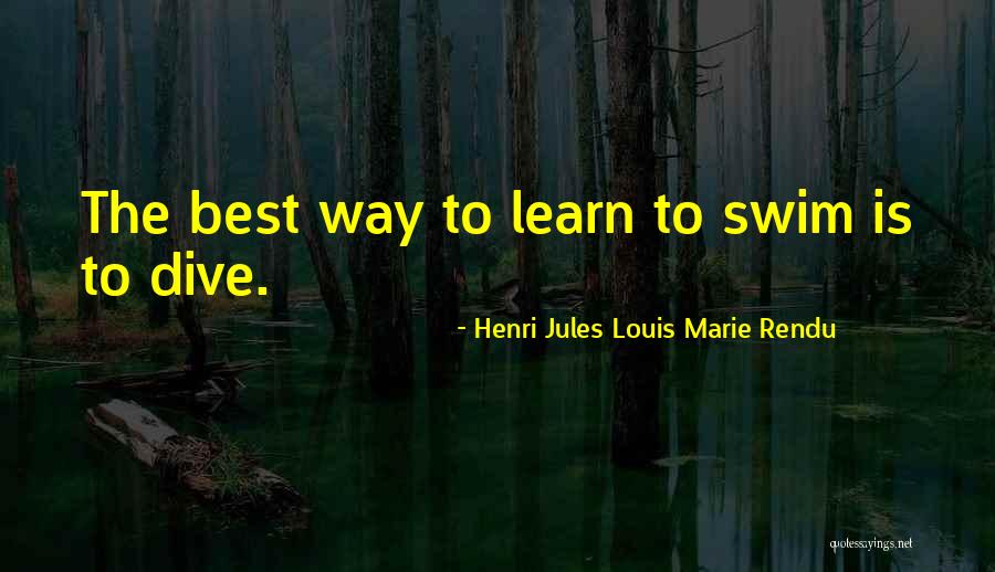 Best Swim Quotes By Henri Jules Louis Marie Rendu