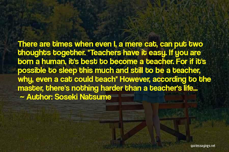 Best Teachers Quotes By Soseki Natsume