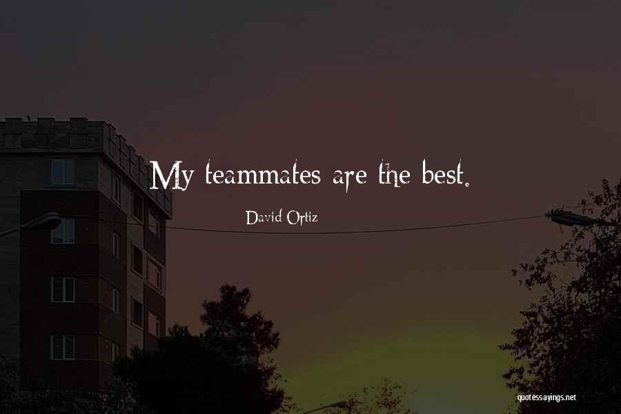 Best Teammates Quotes By David Ortiz Best Teammates Quotes By David Ortiz