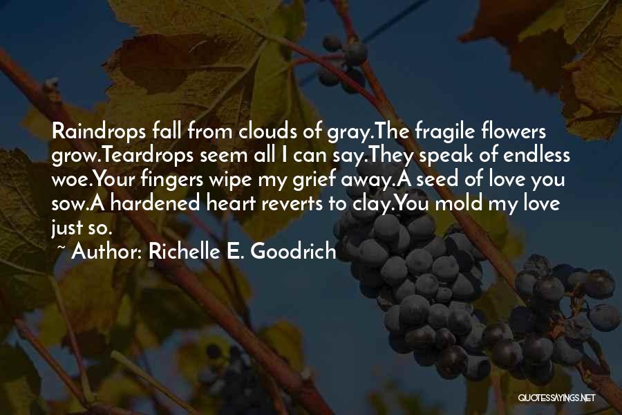 Best Teardrops Quotes By Richelle E. Goodrich
