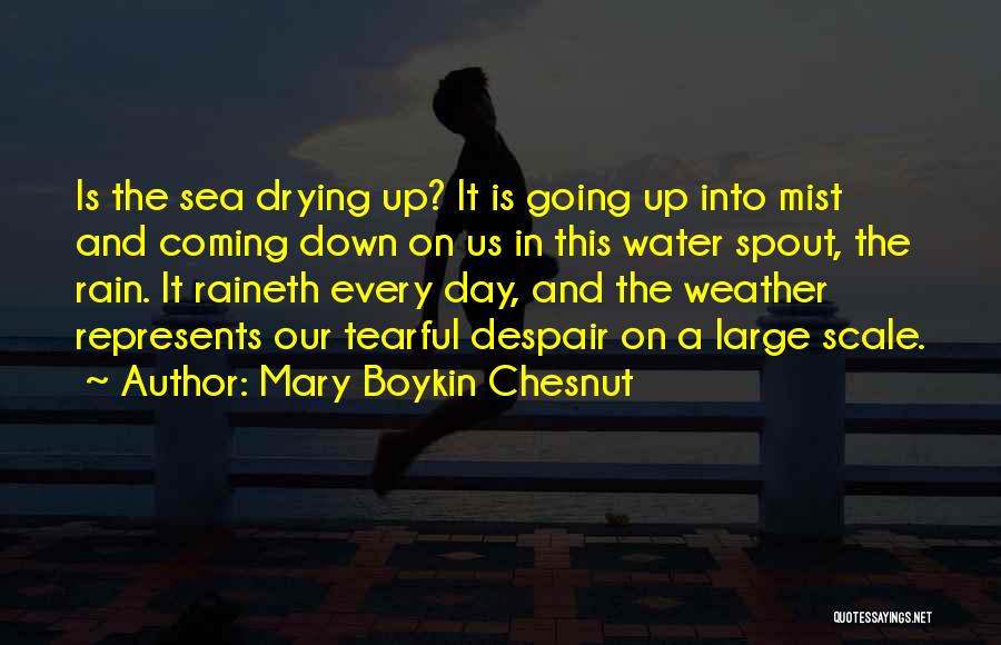 Best Tearful Quotes By Mary Boykin Chesnut