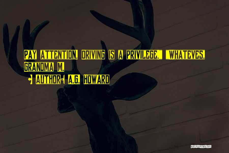 Best Teasing Quotes By A.G. Howard