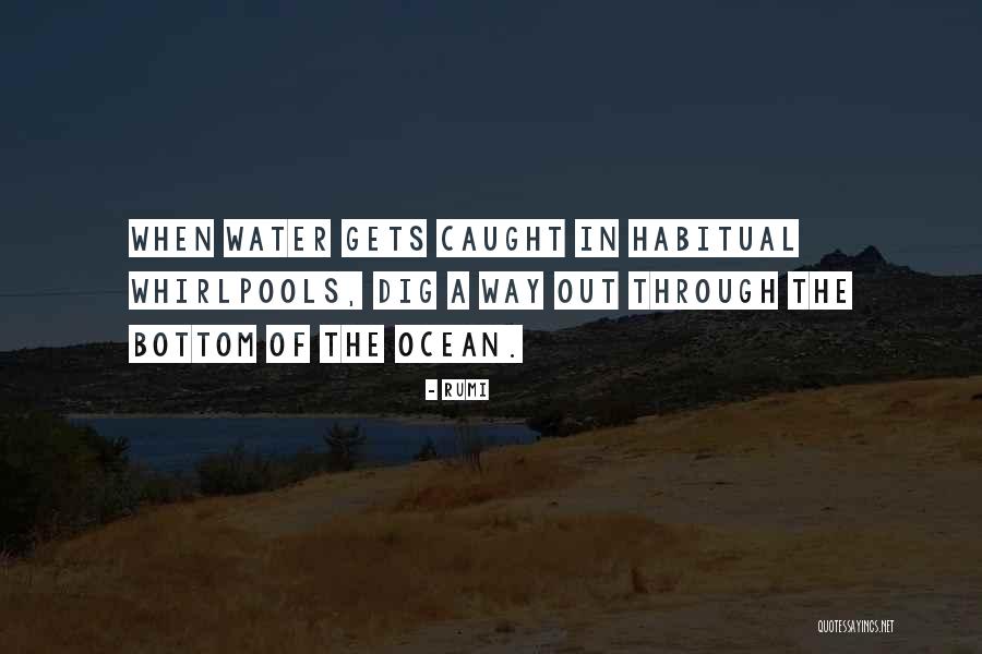Best Telenovela Quotes By Rumi Best Telenovela Quotes By Rumi