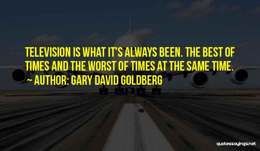 Best Television Quotes By Gary David Goldberg