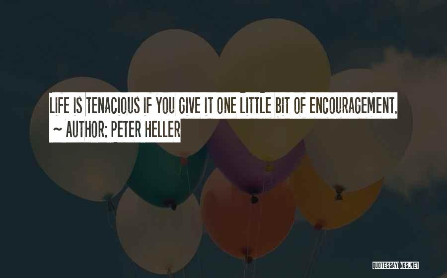 Best Tenacious Quotes By Peter Heller