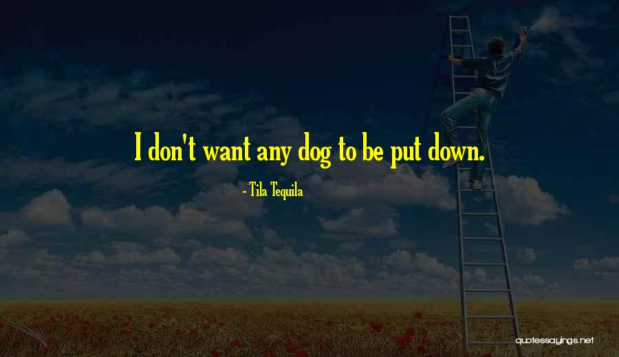 Best Tequila Quotes By Tila Tequila Best Tequila Quotes By Tila Tequila